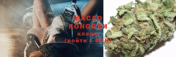 шишки Лагань