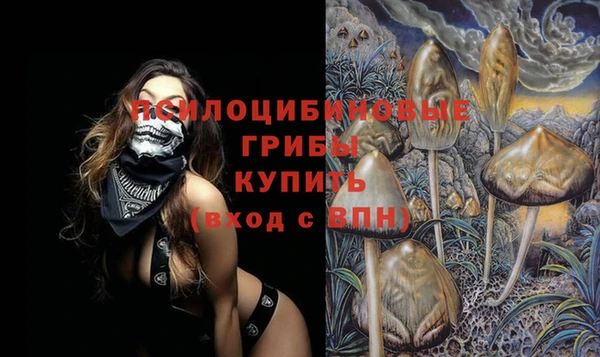 прущая мука Лабытнанги