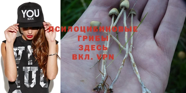 герыч Ладушкин